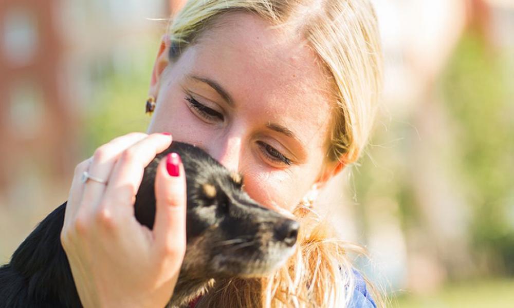 PetAssurePartnersPhoto PetAssurePartnersPhoto
