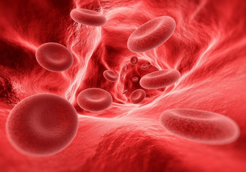 Graphic of red blood cells flowing through a vein freely