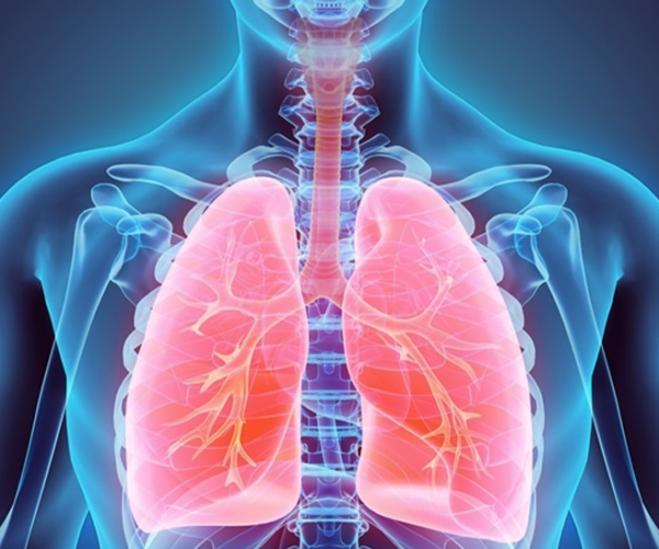 COPD effects on the chest and lungs with a red and blue image